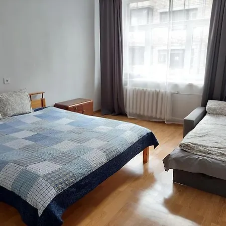 Bright Spacious With Street Parking * Riga